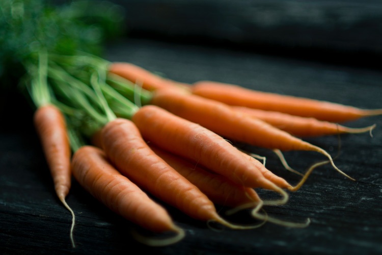 Closeup of a bundle of orange carrots with betacarotene and green stems