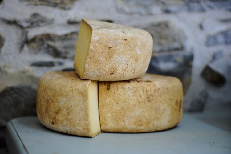 Closeup of a big block of cheese that contains calcium that is good for teeth