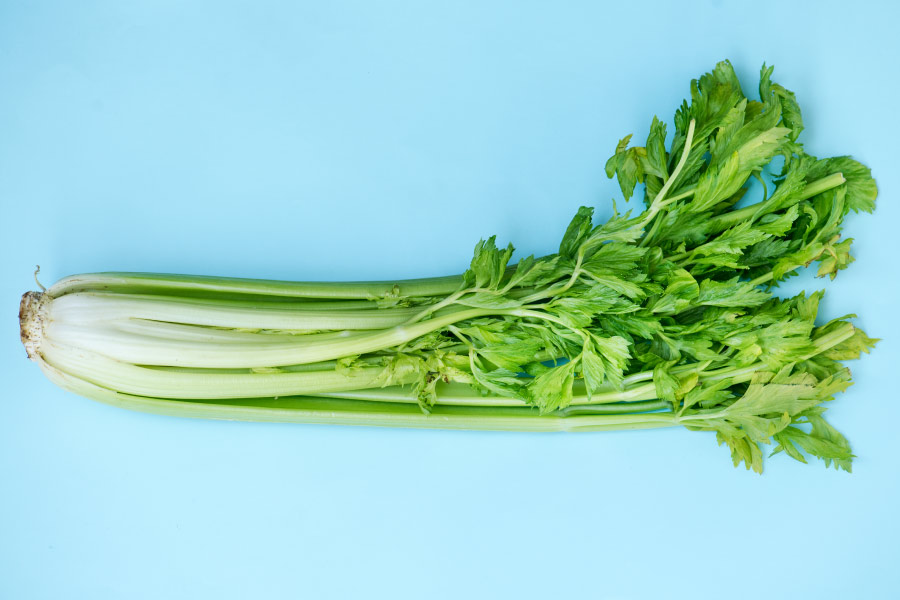 Aerial view of a bunch of celery against a light blue background