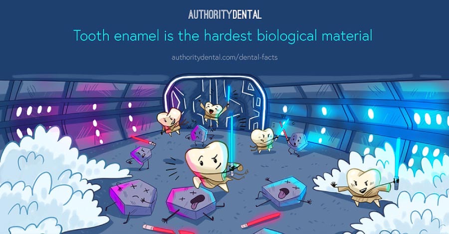 Cartoon of tooth warriors with the caption that tooth enamel is the hardest biological material.